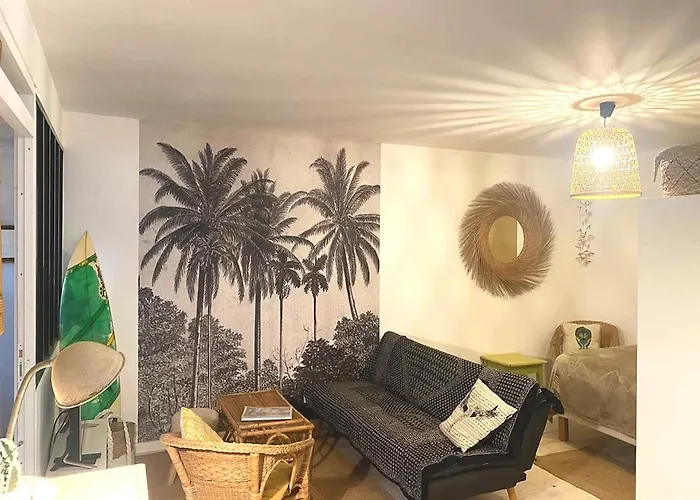 Cosy Appartement 4 Pers A 200 M Plage Et Commerce La Cabane64